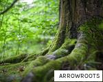 ARROWROOTS anagram