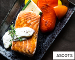 ASCOTS anagram