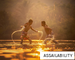 ASSAILABILITY anagram