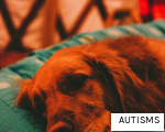 AUTISMS anagram