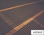 AVENUE anagram
