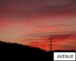 AVENUE anagram