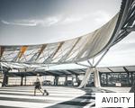 AVIDITY anagram