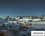 BAGGAG anagram