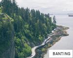 BANTING anagram