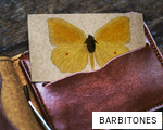 BARBITONES anagram