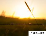 BARBWIRE anagram