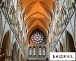 BASOPHIL anagram