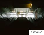 BATWING anagram