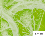 BAYER anagram