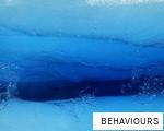 BEHAVIOURS anagram