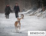 BENEDICKS anagram