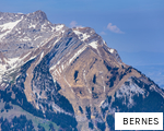 BERNES anagram