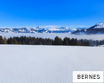 BERNES anagram