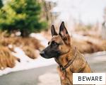 BEWARE anagram