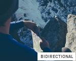 BIDIRECTIONAL anagram