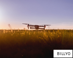 BILLYO anagram