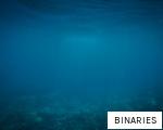 BINARIES anagram