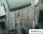 BINOCUL anagram