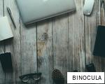 BINOCULA anagram