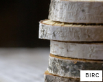 BIRC anagram