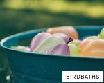 BIRDBATHS anagram