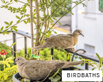 BIRDBATHS anagram