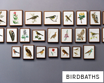 BIRDBATHS anagram