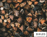 BIRLED anagram