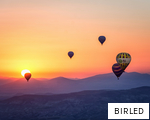 BIRLED anagram