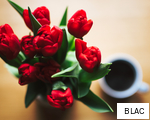 BLAC anagram