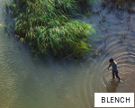 BLENCH anagram