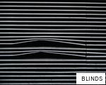 BLINDS anagram