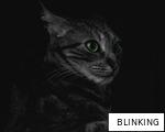 BLINKING anagram