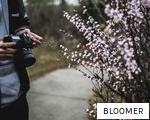 BLOOMER anagram