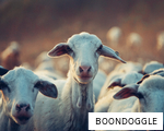 BOONDOGGLE anagram