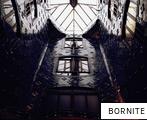 BORNITE anagram
