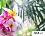 BOTANI anagram