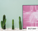BOTANY anagram