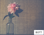 BOTT anagram
