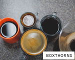 BOXTHORNS anagram