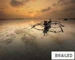 BRAILED anagram