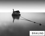 BRAILING anagram