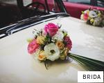 BRIDA anagram