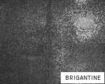 BRIGANTINE anagram