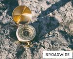 BROADWISE anagram