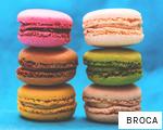 BROCA anagram