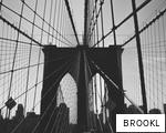BROOKL anagram