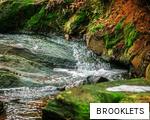 BROOKLETS anagram