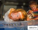 BROTH anagram